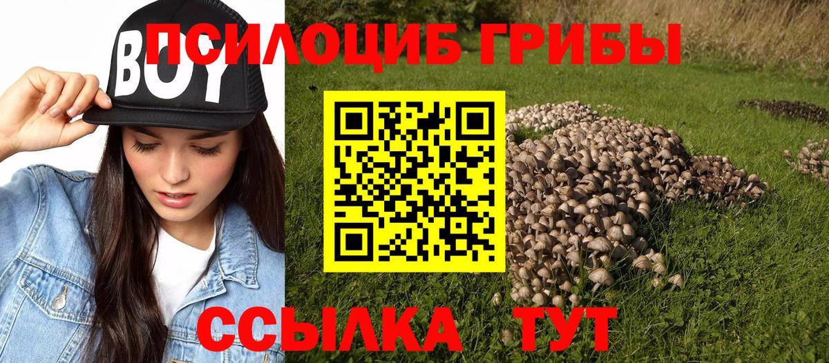 Верхняя Салда  Псилоцибиновые грибы мицелий  Вход с VPN 